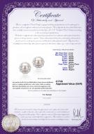 Certificat de produit: FW-W-AAAA-89-E-Bessie