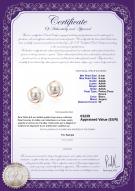 Certificat de produit: FW-W-AAAA-89-E-Zina