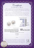 Certificat de produit: FW-W-AAAA-910-E-Leonie