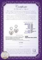 Certificat de produit: FW-W-AAAA-910-E-Shellry