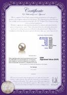 Certificat de produit: FW-W-AAAA-910-L1