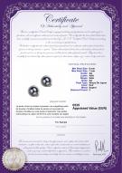 Certificat de produit: JAK-B-AA-67-E-Jocelyn