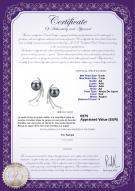 Certificat de produit: JAK-B-AA-67-E-Rosie