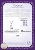 Certificat de produit: JAK-B-AA-67-P-Diana