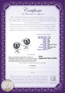 Certificat de produit: JAK-B-AA-78-E-Gilda