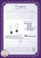 Certificat de produit: JAK-B-AA-78-E-Marcella