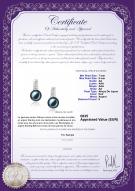 Certificat de produit: JAK-B-AA-78-E-Valery