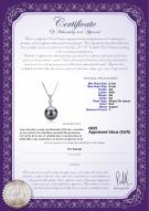 Certificat de produit: JAK-B-AA-89-P-Ellice