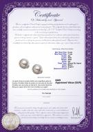 Certificat de produit: JAK-W-AA-67-E-Jocelyn