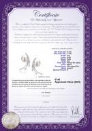 Certificat de produit: JAK-W-AA-67-E-Rosie
