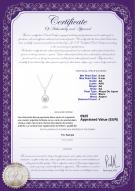 Certificat de produit: JAK-W-AA-89-P-Mosina