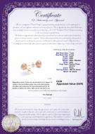 Product certificate: P-78-E