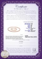 Certificat de produit: P-AA-67-S