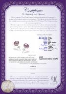Certificat de produit: P-AA-910-E-SS-OLAV