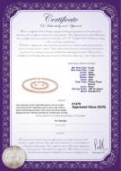 Certificat de produit: P-AAA-67-S