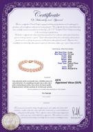 Certificat de produit: P-AAA-89-B