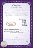Certificat de produit: P-AAAA-67-S