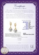 Product certificate: SS-W-AAA-1011-E-Bianka