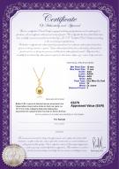 Certificat de produit: SSEA-G-AAA-1011-P-Gisela