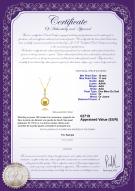 Certificat de produit: SSEA-G-AAA-1011-P-Hilda