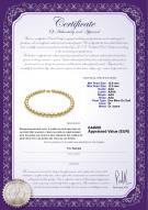 Certificat de produit: SSEA-G-N-Q213