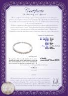 Certificat de produit: SSEA-W-AAA-1213-N