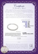 Certificat de produit: SSEA-W-AAA-1417-N