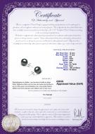 Certificat de produit: TAH-B-AA-1011-E
