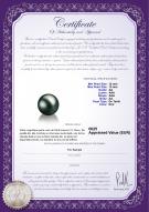 Certificat de produit: TAH-B-AA-1213-L1