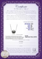 Certificat de produit: TAH-B-AA-1213-P-Kristine