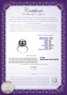 Certificat de produit: TAH-B-AA-1213-R-Yanaka