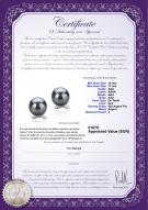Certificat de produit: TAH-B-AAA-1011-E-Berry