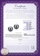 Certificat de produit: TAH-B-AAA-1011-E-Tammy