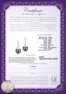 Certificat de produit: TAH-B-AAA-1011-E-Verna