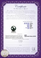 Certificat de produit: TAH-B-AAA-1011-L1