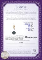 Certificat de produit: TAH-B-AAA-1011-P-Brianna