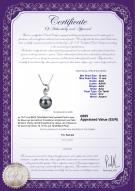 Product certificate: TAH-B-AAA-1011-P-Eilidh