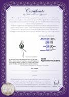 Certificat de produit: TAH-B-AAA-1011-P-Florence