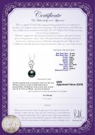 Certificat de produit: TAH-B-AAA-1011-P-Hilary