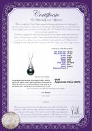 Certificat de produit: TAH-B-AAA-1011-P-Romola