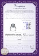 Certificat de produit: TAH-B-AAA-1011-R-Layana