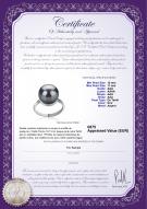 Certificat de produit: TAH-B-AAA-1011-R-Tindra