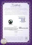 Certificat de produit: TAH-B-AAA-1213-L1
