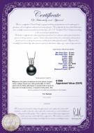Certificat de produit: TAH-B-AAA-1213-P-Colette