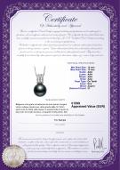Certificat de produit: TAH-B-AAA-1213-P-Colette