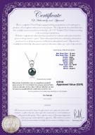 Certificat de produit: TAH-B-AAA-1213-P-Marlo