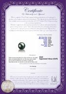 Certificat de produit: TAH-B-AAA-89-L1