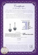 Product certificate: TAH-B-AAA-910-E-Ariel