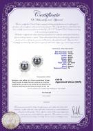 Certificat de produit: TAH-B-AAA-910-E-Leonie