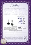 Certificat de produit: TAH-B-AAA-910-E-Zuella
